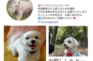 アニマルコミュニケーション